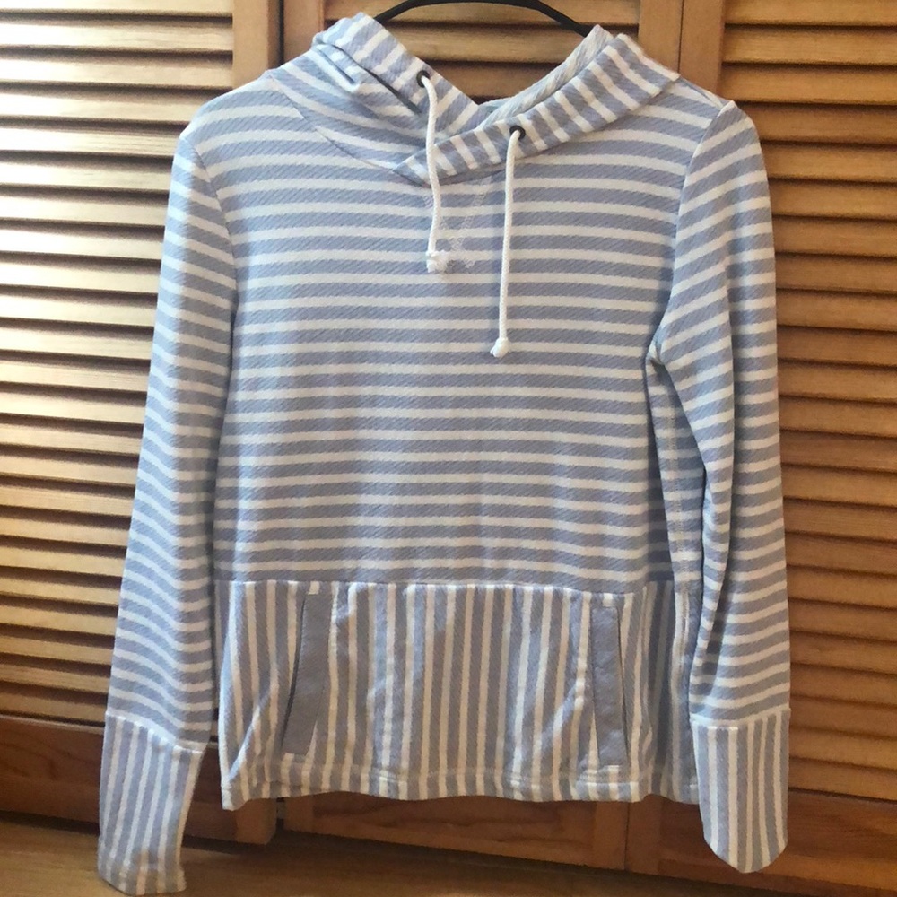 jcrew blue and white stripe sweatshirt